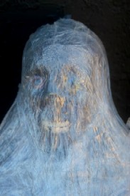 Bucky II in His Wrappings