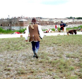 The Surgeon Wanders Away