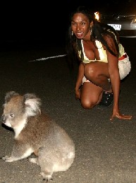 Pearl and a Wild Koala