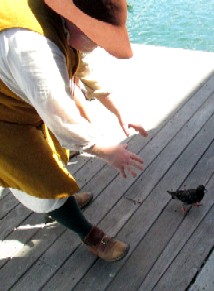 William Chasing Pigeons 3