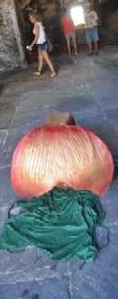 The Way to Put on a Mermaid Tail 4