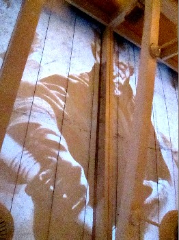 Darth Maul on Cafe Sole Tarp