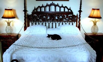 Hemingway House Bed and Cat