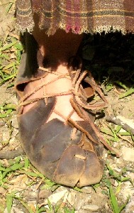 Suzanne Larner's gillies