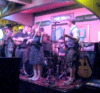 Bastard Bearded Irishmen in Pink Light