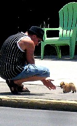 Guy with a Pocket Pomeranian