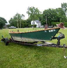 Black Sheep wears my hat