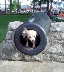 Grace as cannon fodder