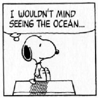 Wouldn't mind seeing the ocean