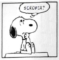 Scrofia?