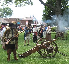 Defenders firing behind the cannons