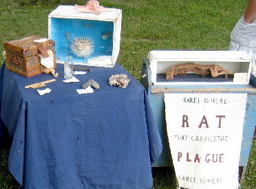 Faire Wynds Displays