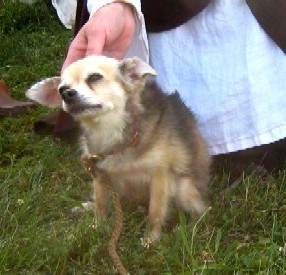 Grace Among the Pirates