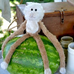 Lob, sitting on a watermelon
