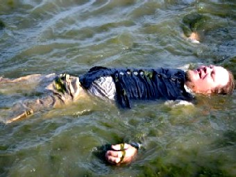 Jay Washing Up on Shore