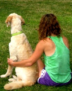 Contest Watchers - Girl And Dog