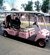 Barbie Golf Cart