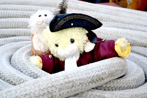 Lob and Mary Bear in Ropes