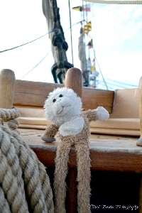 Lob on Niagara Belaying Pin