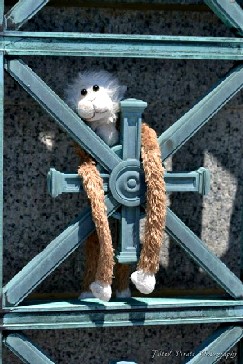 Lob at Perry Monument