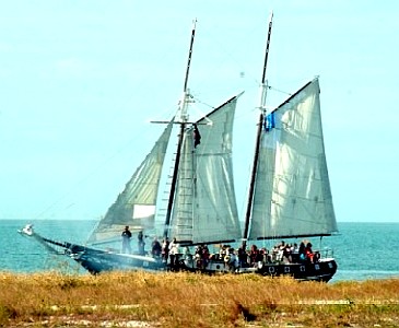 The Schooner Wolf