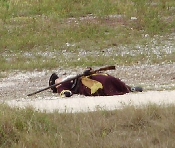 Mary Diamond shot down on the field!