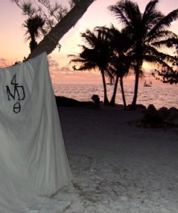 Mary and Mark Diamond's view of the beach