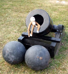 Lob sitting in the mortar maw