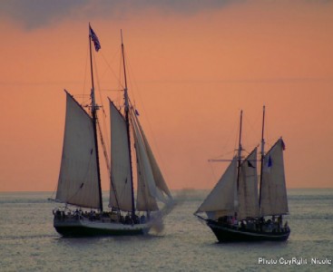 Sailing ships in the Key West sunset