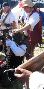 Taking the Viceroy's Wig