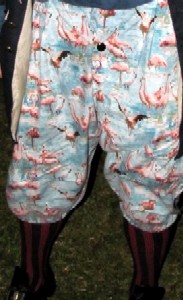 Mission's flamingo pants