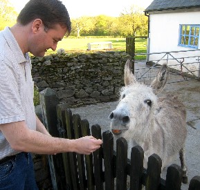 Mission Feeding Merlin