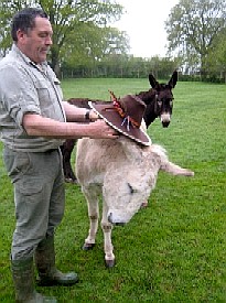 Evie and the Patrick Hand Hat