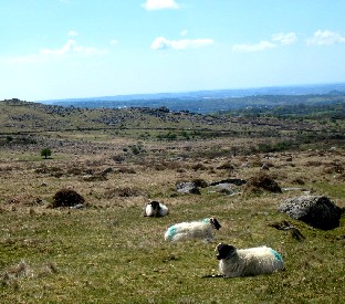 Dartmoor