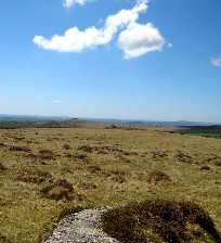 Dartmoor View 3