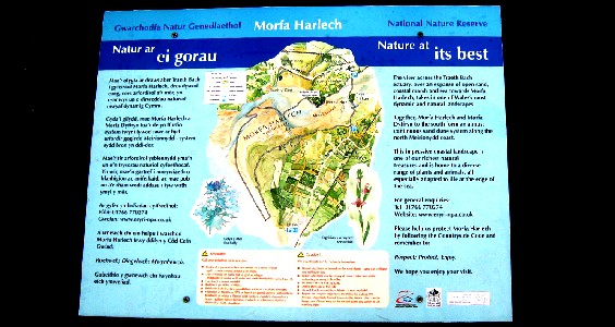 The Walking Paths Map