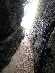Portmeirion Estuary Beach 3
