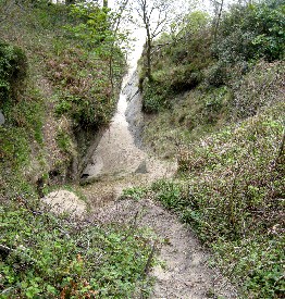 Portmeirion Ghost Garden Path to the Beach 1