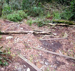 Path to the Ghost Garden 2