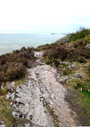 Portmeirion Path Back to Village 1