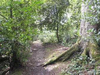 Portmeirion Path Back to Village 3