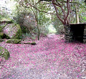 Portmerion At the Crossroads