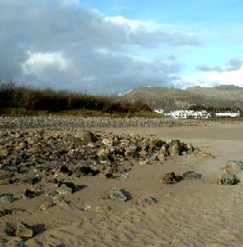 Ballast Island Shore Line