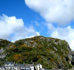 Barmouth Hills Covered in Gorse