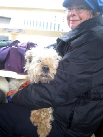 Tim the Dog and His Owner