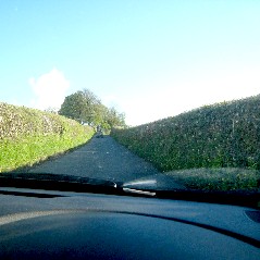 Driving Welsh Roads - Hedges