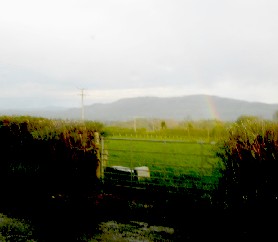 One of Gareth's Sheep Pens